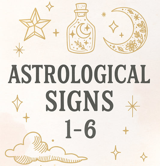 Astrological Signs Horoscope Aquarius, Aries, Cancer, Capricorn, Gemini, Leo 20 oz Stainless Steel Skinny Tumbler
