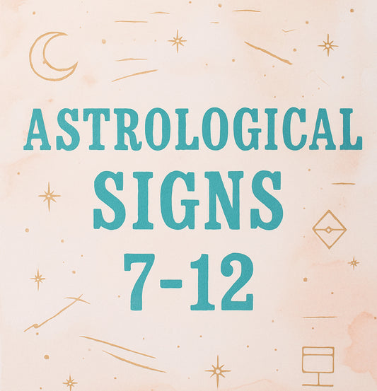 Astrological Signs Horoscope Libra, Pisces, Sagittarius, Scorpio, Taurus, Virgo 20 oz Stainless Steel Skinny Tumbler